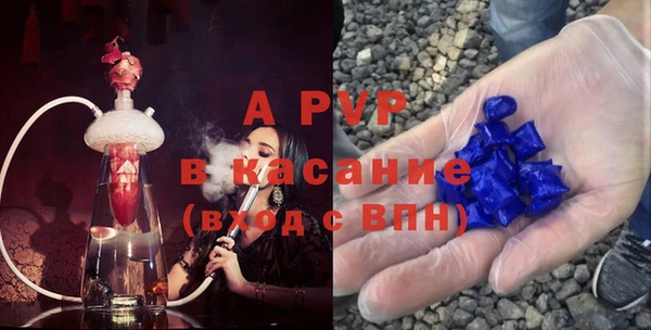 крисы Верея