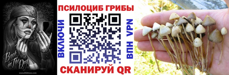 Купить где  Лебедянь  Псилоцибиновые грибы ЛСД 